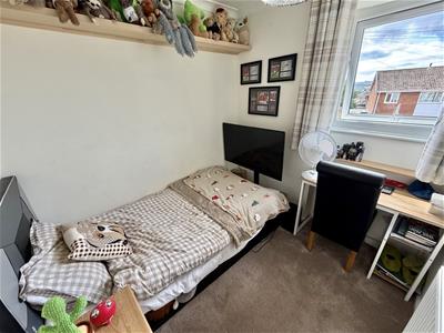 Picture 10